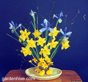 triangular spring arrangement